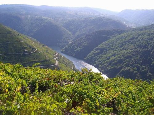 Ribeira Sacra en una foto
