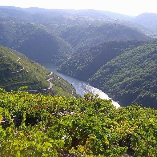 Ribeira Sacra en una foto