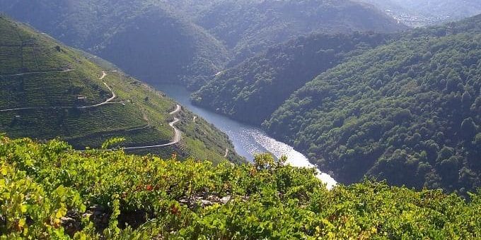Camino Sur 009 Ribeira Sacra en una foto