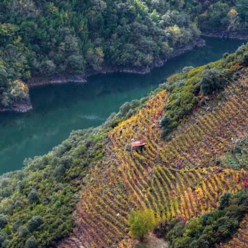 Ribeira Sacra en Otoño
