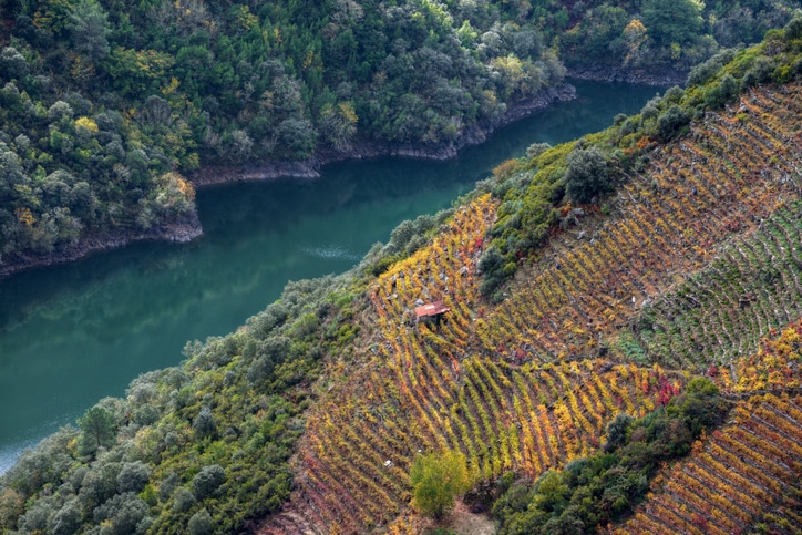 Ribeira Sacra en Otoño