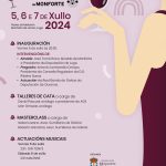 Cartel festiva del vino de Ribiera Sacra